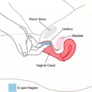 G点