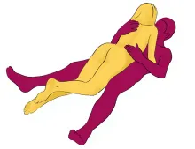 14. 郁金香